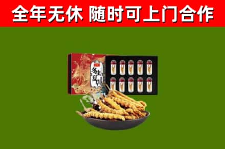 林口烟酒回收冬虫夏草礼盒.jpg