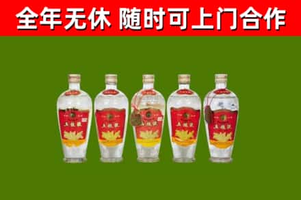 林口烟酒回收公斤五粮液.jpg